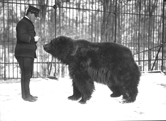 Архивные фотографии Америки