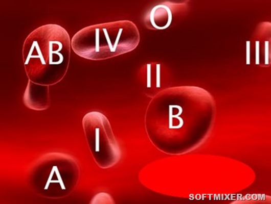 Факты об организме человека Факты об организме человека