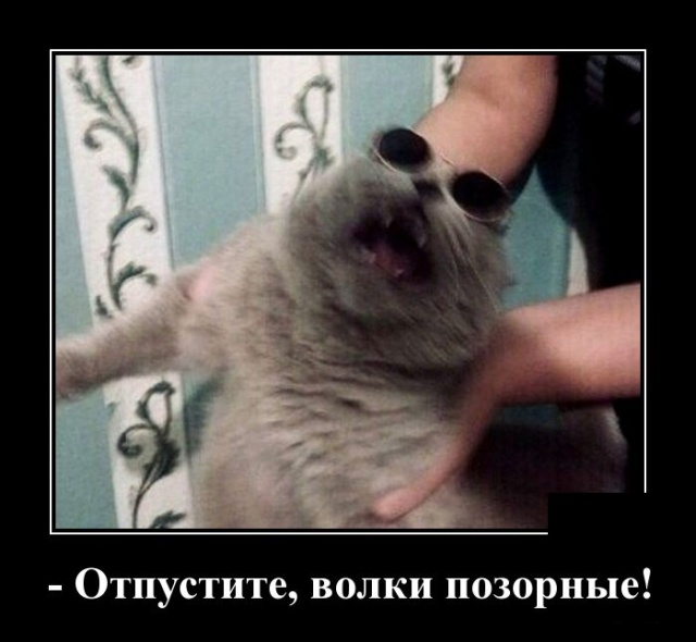 Демотиваторы