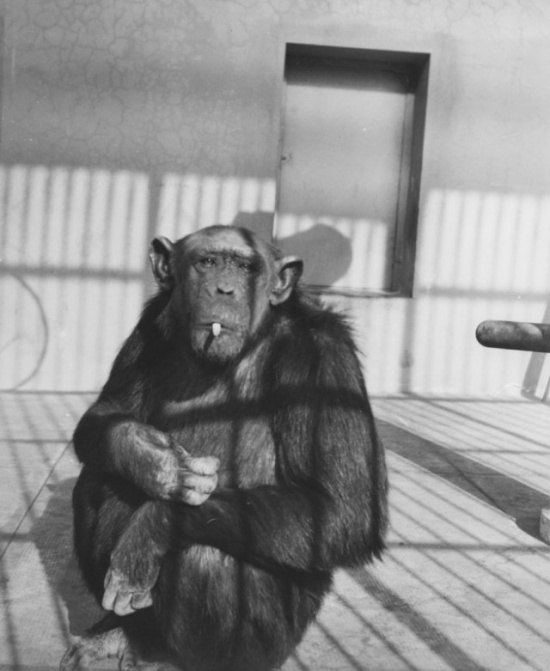 Архивные фотографии и моменты из прошлого Архивные фотографии и моменты из прошлого