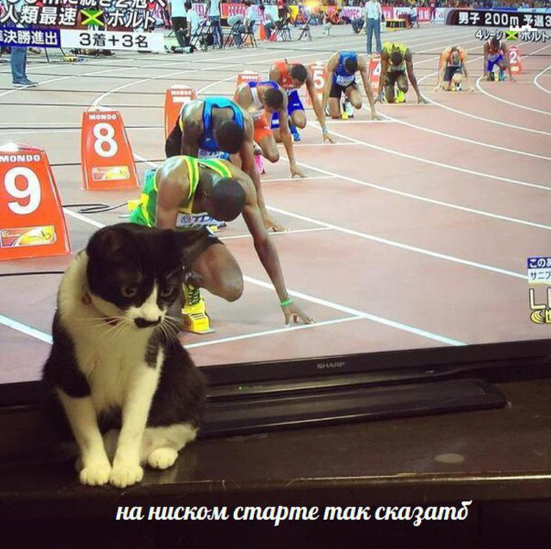 Прикольные картинки