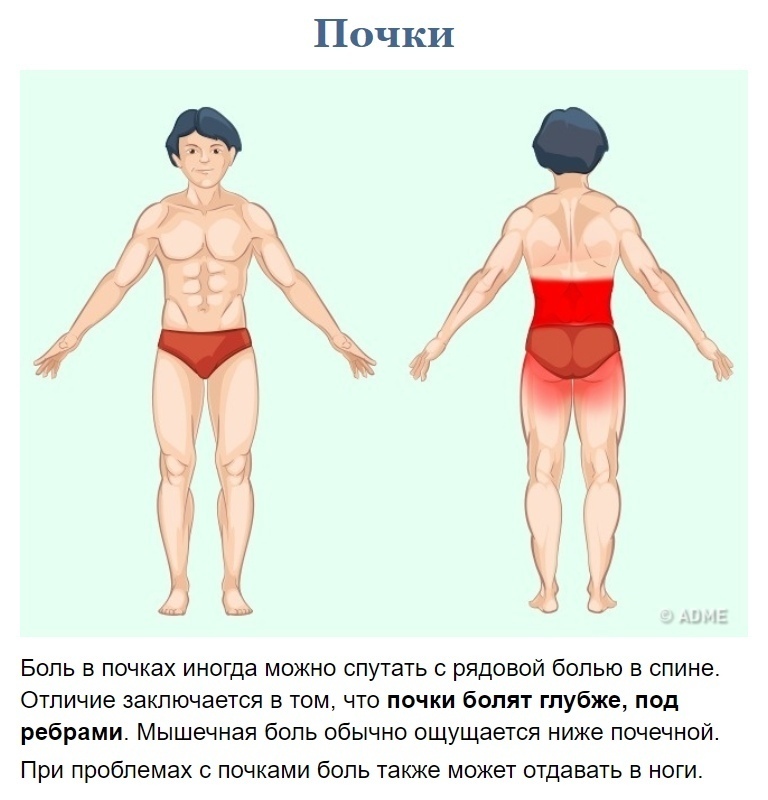 Как узнать что болит?