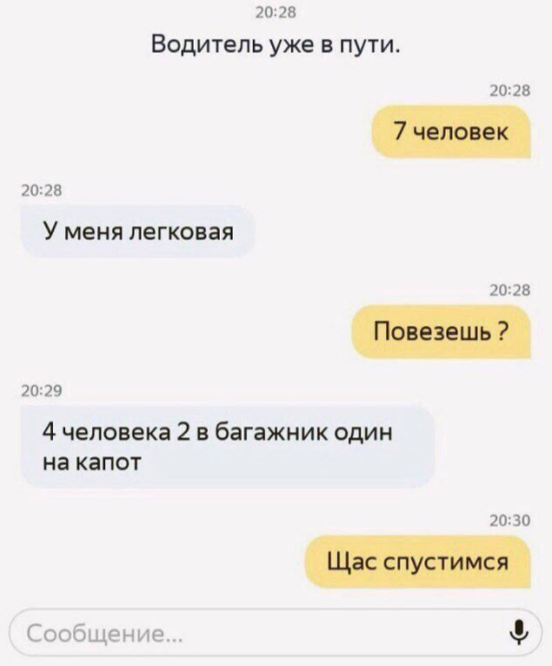 Прикольные картинки