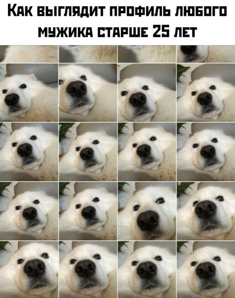 Прикольные картинки