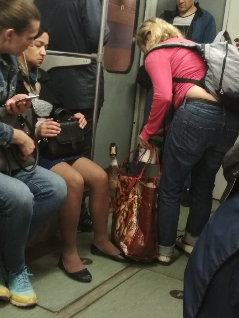 Модники из российского метрополитена