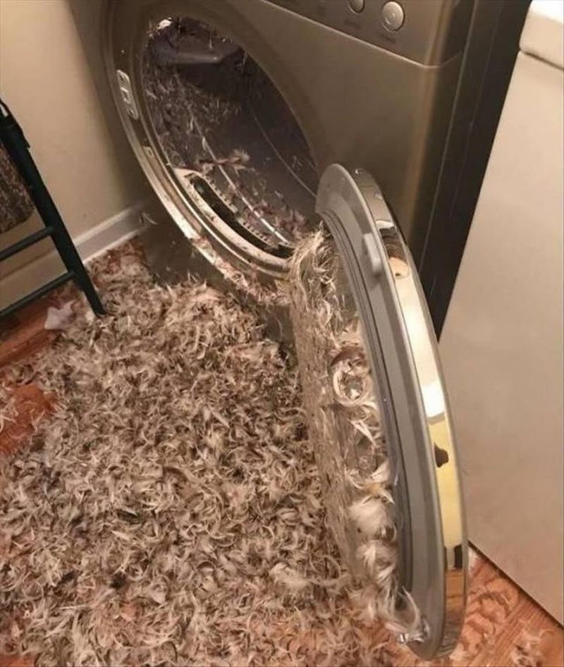 Бывают в жизни огорчения...