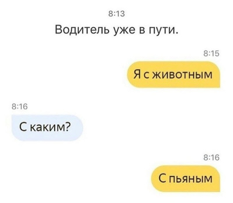 Прикольные картинки