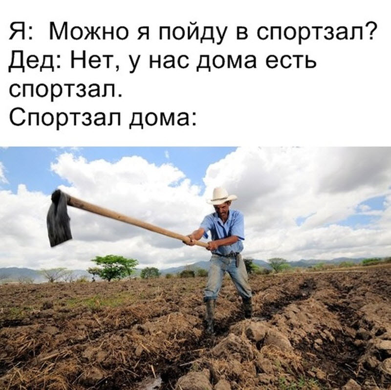 Прикольные картинки