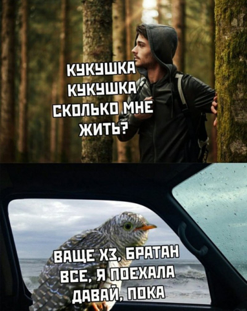 Прикольные картинки