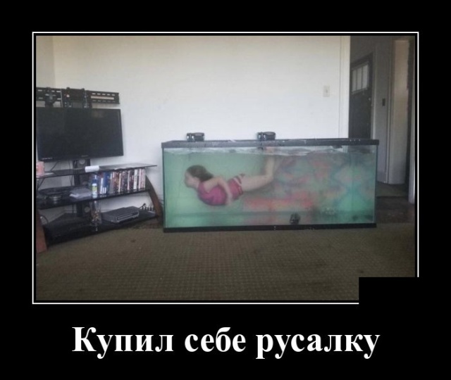 Демотиваторы