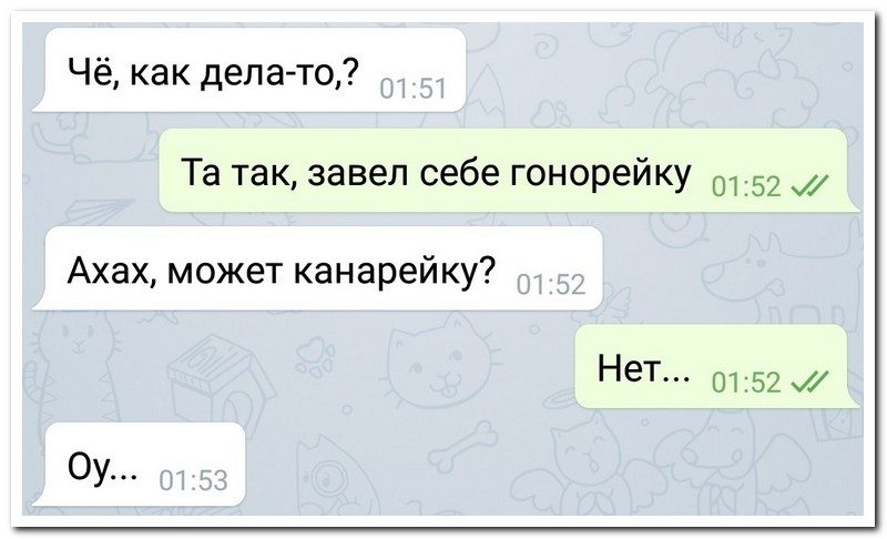 Забавные комментарии из социальных сетей