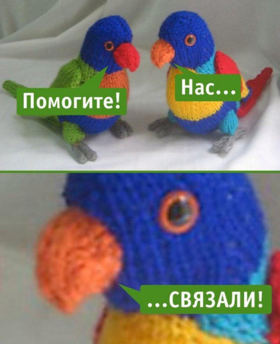 Забавные картинки