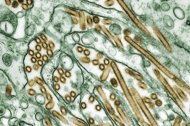 Моменты истории, когда человечество было на краю гибели Моменты истории, когда человечество было на краю гибели