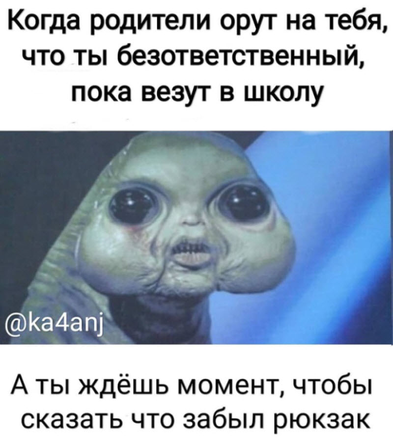 Прикольные картинки