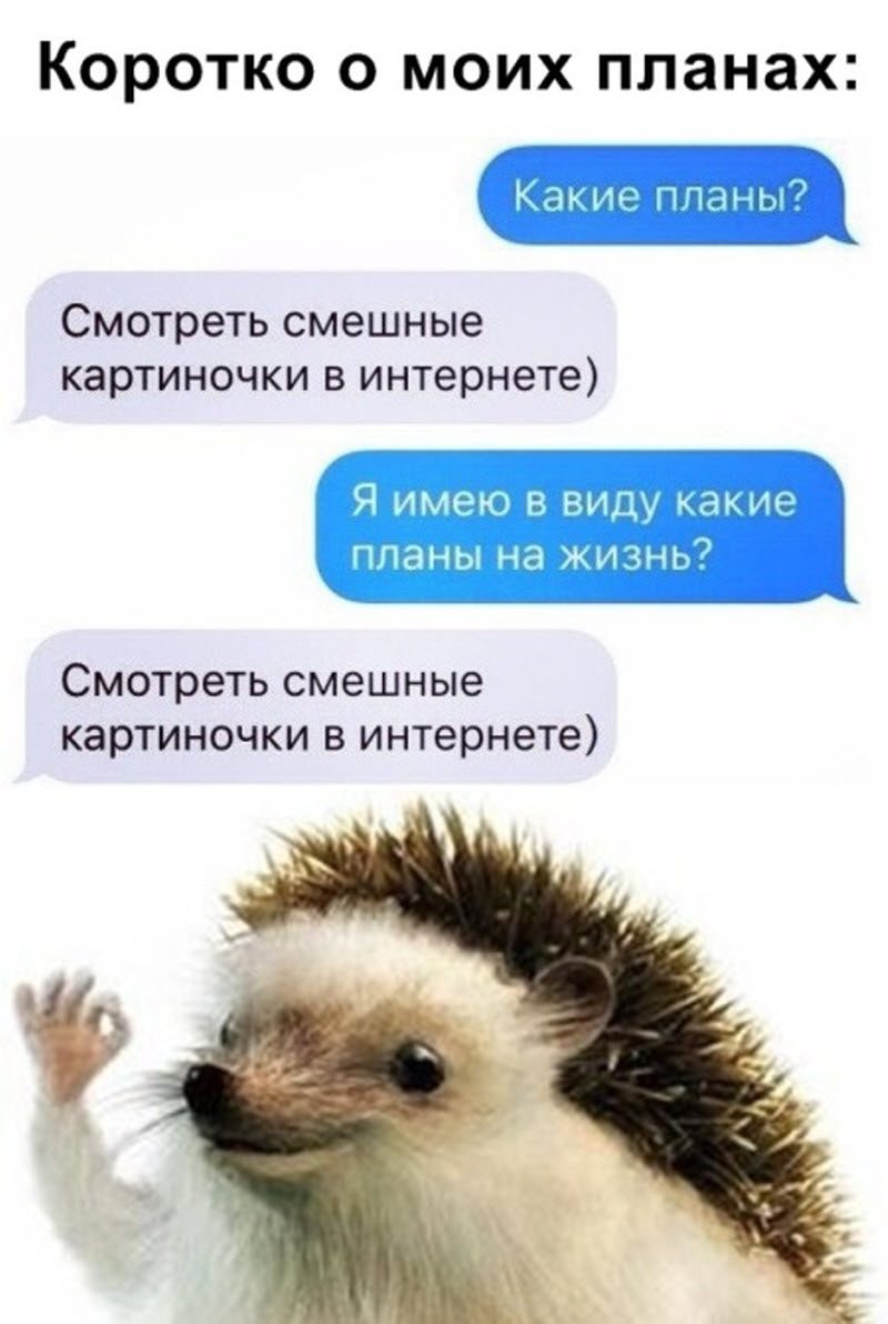 Прикольные картинки