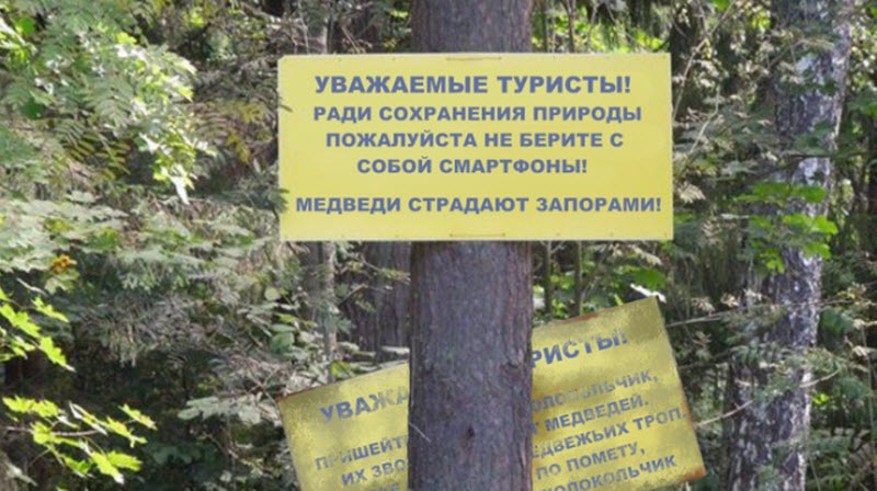 Прикольные картинки