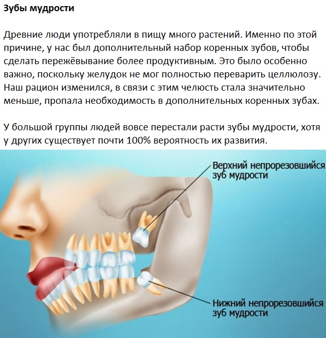 Следы на человеческом теле, оставленные эволюцией