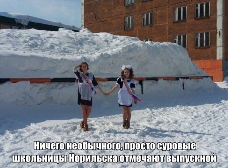 Прикольные картинки