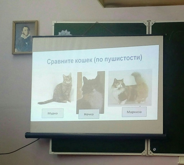 Подборка крутых и смешных слайдов со студенческих презентаций