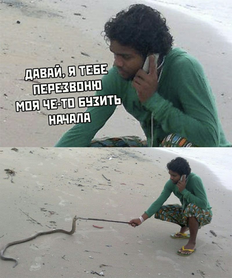 Прикольные картинки