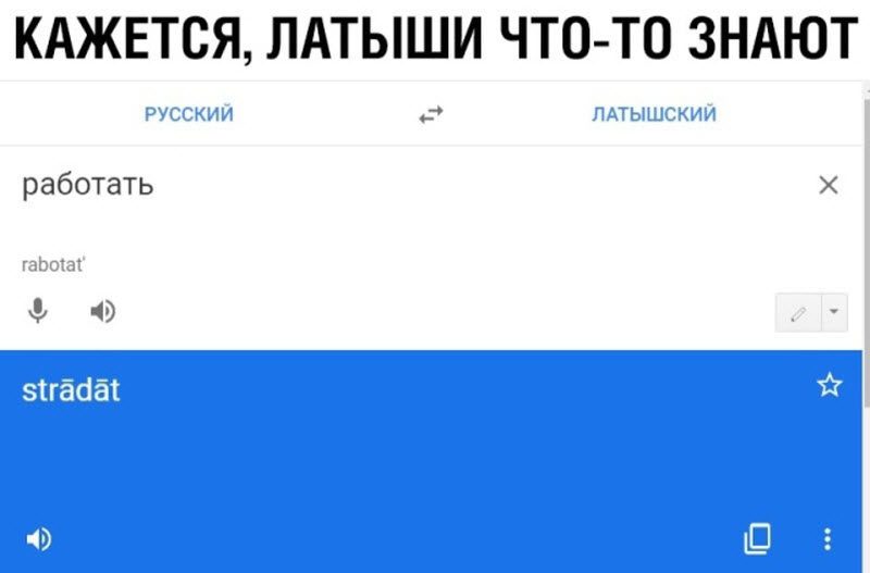 Прикольные картинки