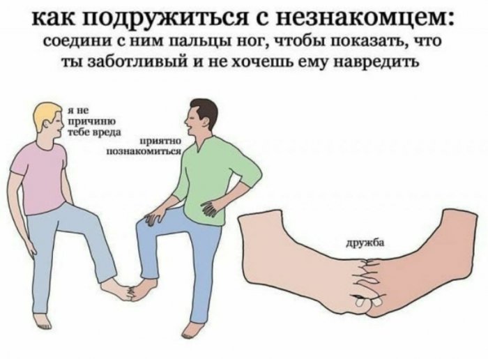 Забавные картинки