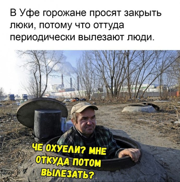 Забавные картинки