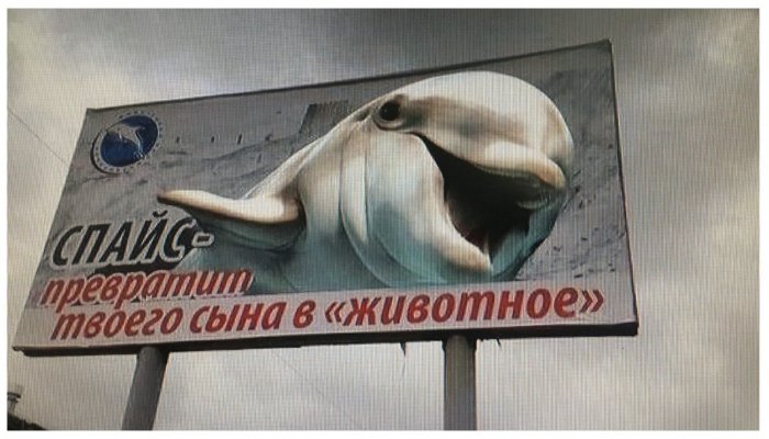 Забавные картинки