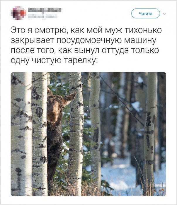 Забавные и правдивые твиты о семейной жизни