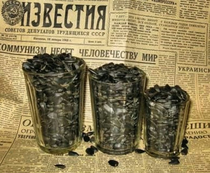 История семечек на Руси История семечек на Руси