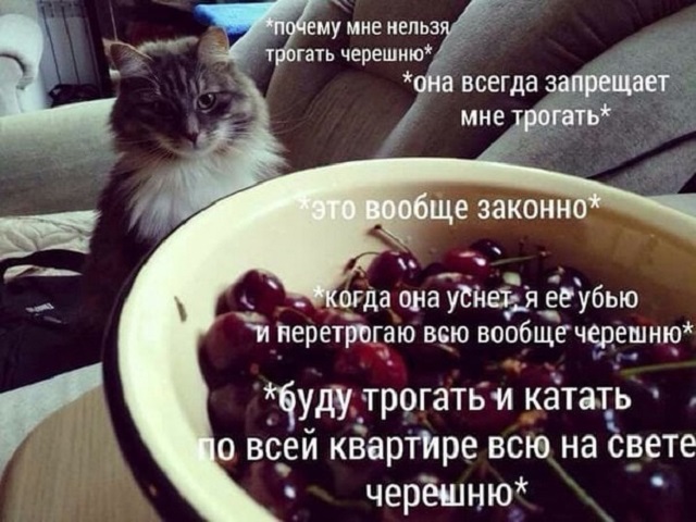 Сети покоряет новый мем: "Хочу черешню!"