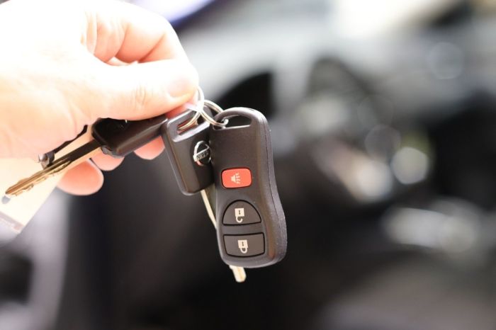 Для чего некоторые автомобилисты хранят ключи в микроволновке Для чего некоторые автомобилисты хранят ключи в микроволновке