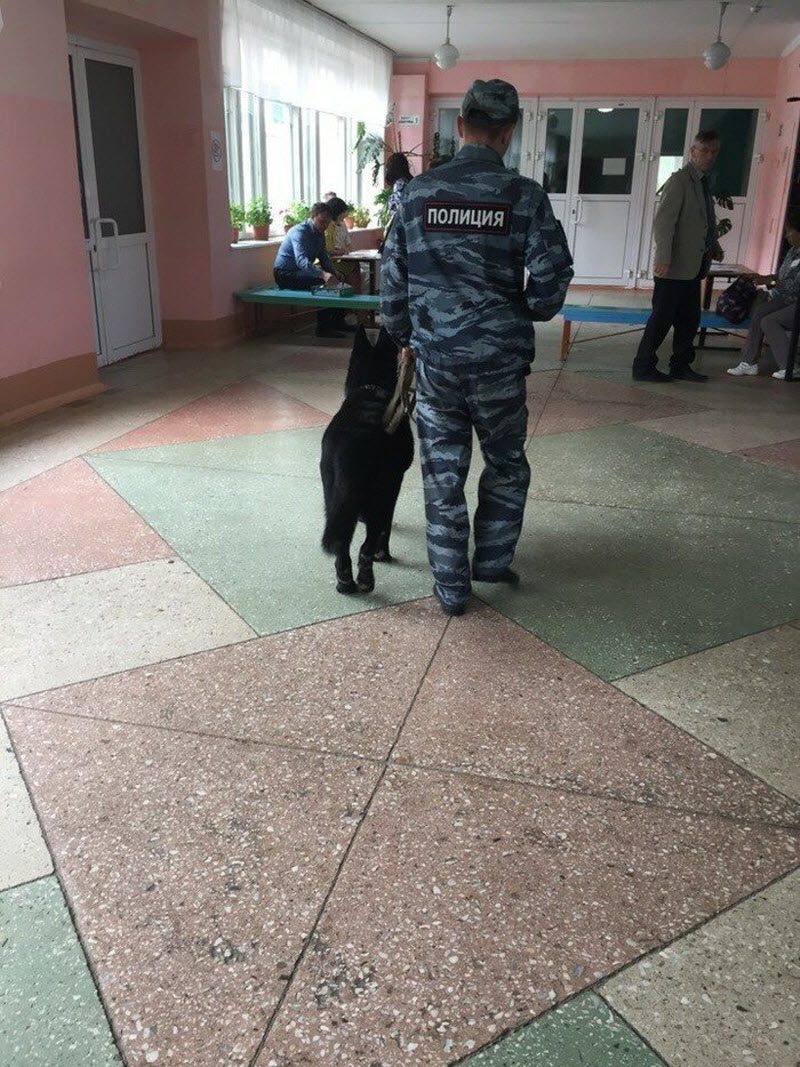 Ужасы ЕГЭ-2019: смерть, роды, слежка Ужасы ЕГЭ-2019: смерть, роды, слежка