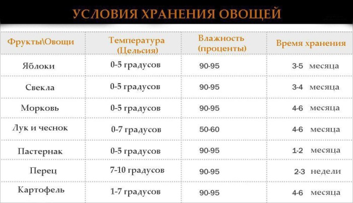 Правила летнего хранения фруктов, овощей и ягод в летнее время Правила летнего хранения фруктов, овощей и ягод в летнее время