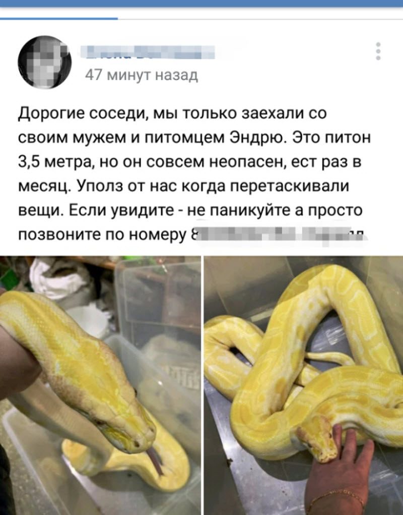 Прикольные картинки