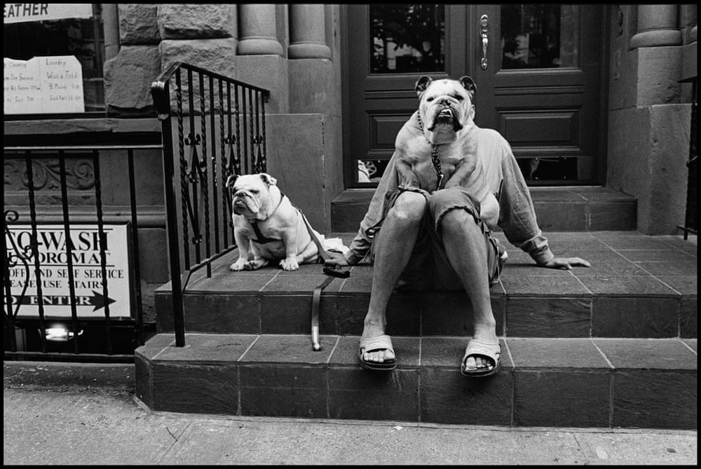 Пропитанные одержимостью фотографов снимки из коллекции Magnum Пропитанные одержимостью фотографов снимки из коллекции Magnum