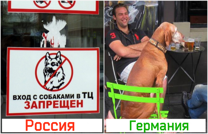 11 странных привычек немцев 11 странных привычек немцев