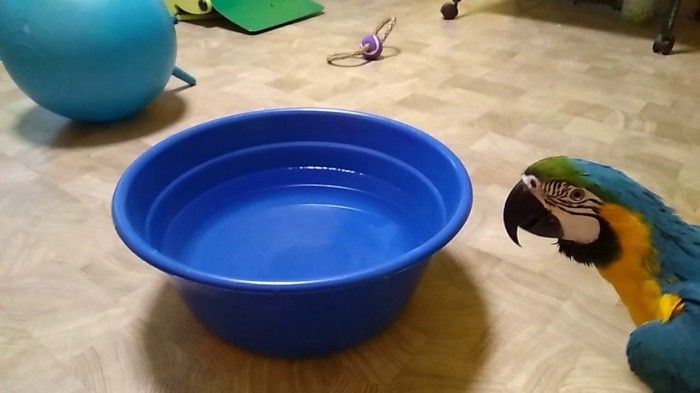 Как справляться с жарой без кондиционера Как справляться с жарой без кондиционера