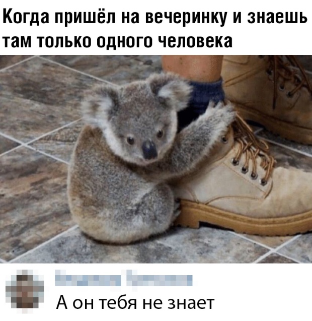 Немного шуток из социальных сетей