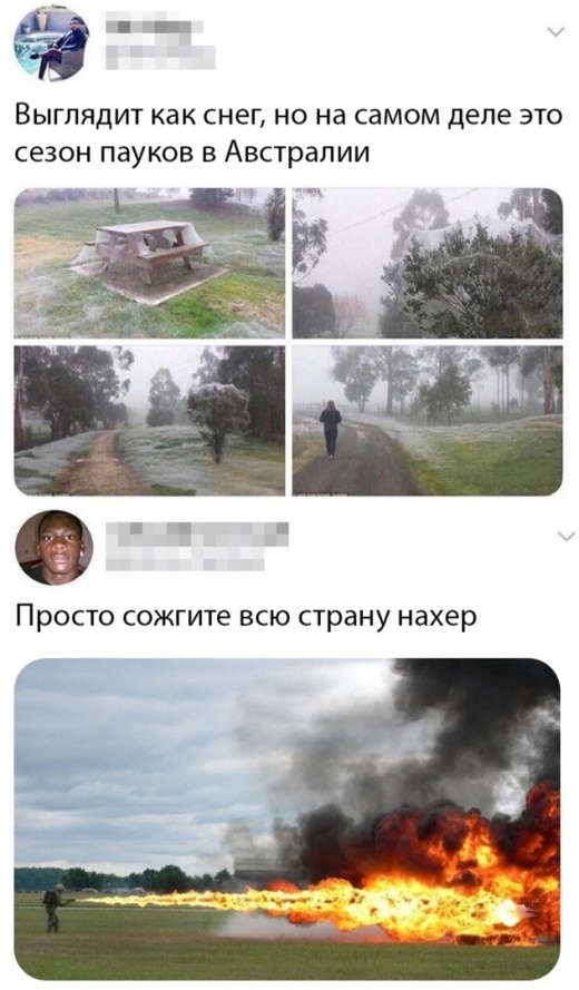 Немного шуток из социальных сетей