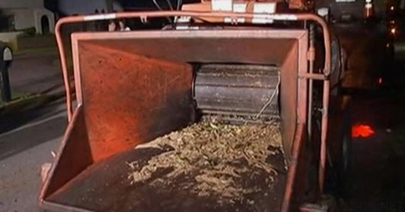 Странные смерти людей Странные смерти людей