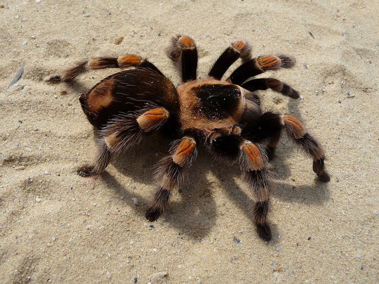 Загадочные и страшные происшествия на дороге, рассказанные водителями Загадочные и страшные происшествия на дороге, рассказанные водителями