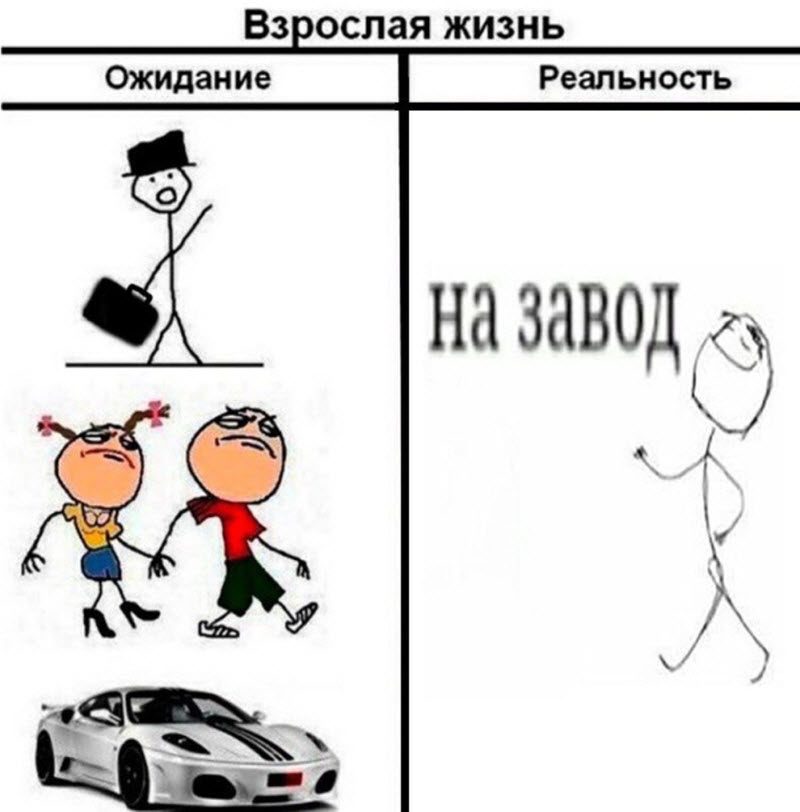 Прикольные картинки