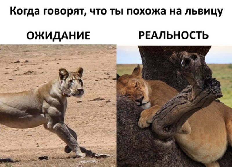 Прикольные картинки