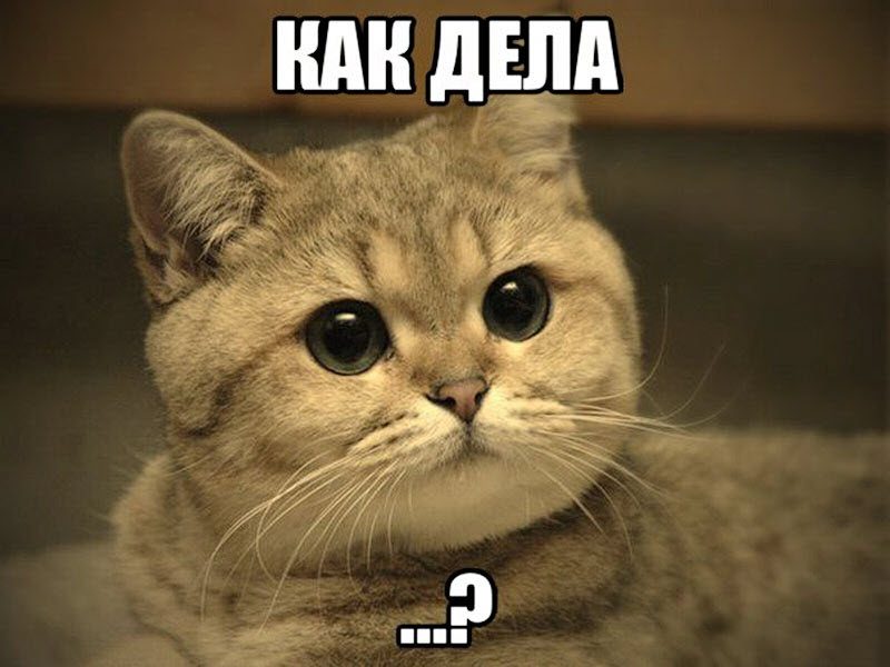 13 привычек, которые есть только у нашего человека 13 привычек, которые есть только у нашего человека