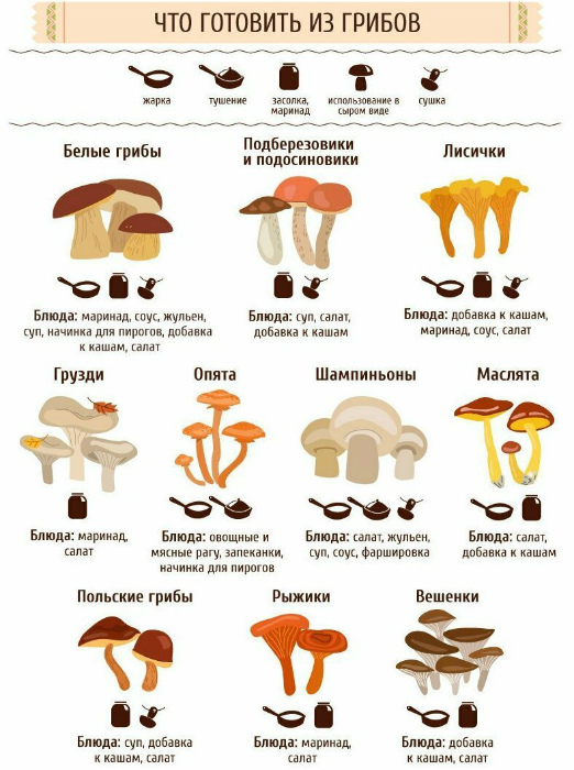 Полезные кухонные шпаргалки Полезные кухонные шпаргалки