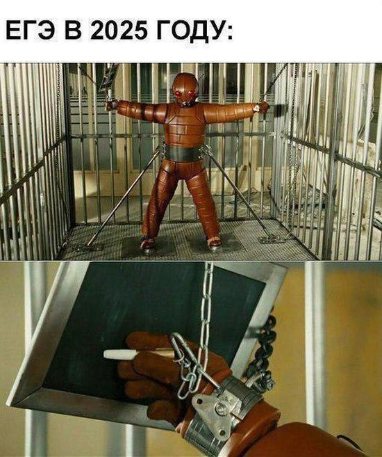 Забавные картинки