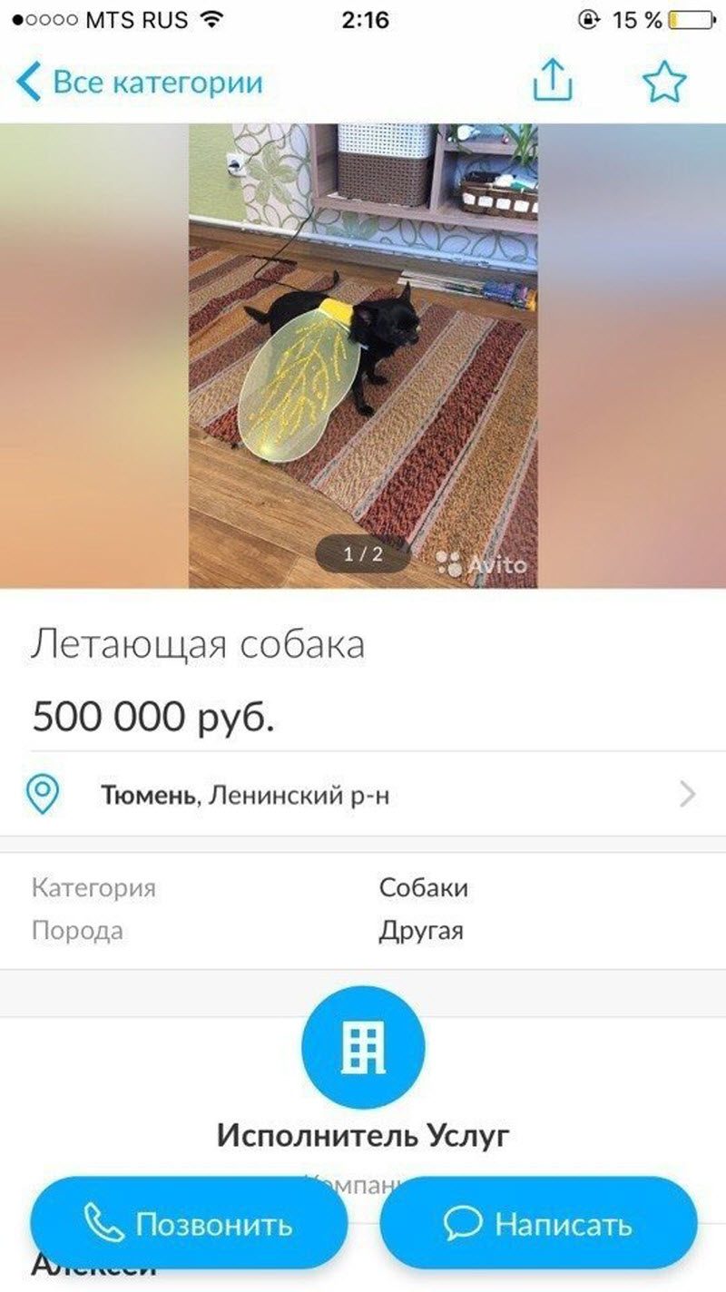 Убойные объявления с Авито