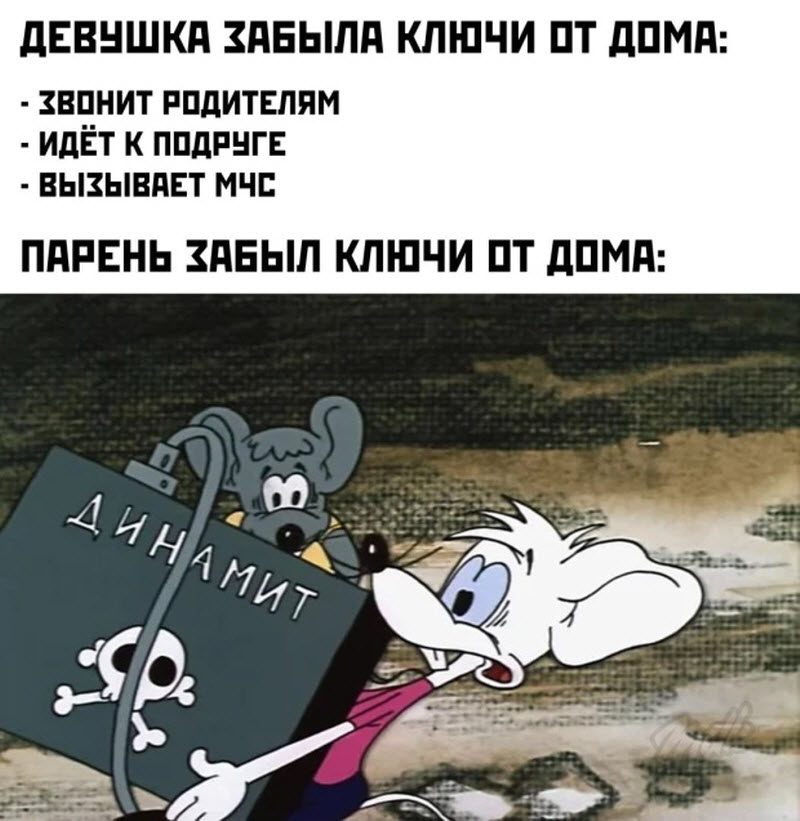Прикольные картинки