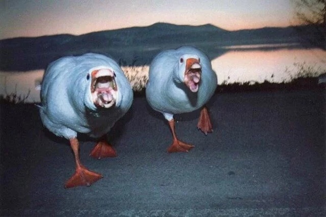 Странные и пугающие фотографии